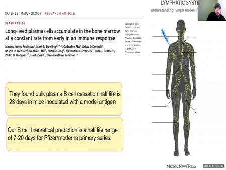 Modelling the immune system response to vaccination