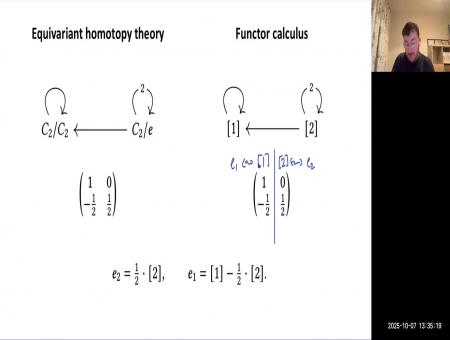 Algebraic models for functor calculus