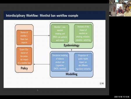 Mathematical Models of Tobacco Use Dynamics: Products, Flavors, and Networks