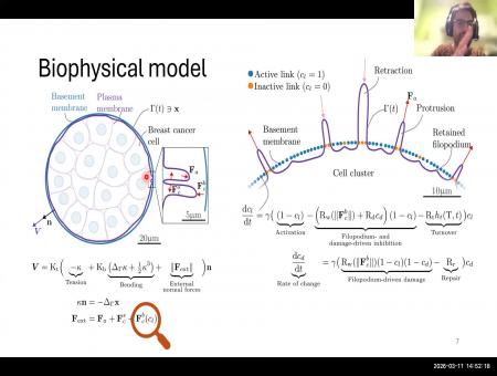 Basement membrane turnover drives filopodial protease-independent invasion